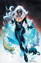 Load image into Gallery viewer, BLACK CAT ANNUAL #1 UNKNOWN COMICS STEPHEN SEGOVIA EXCLUSIVE VIRGIN VAR INFD (06/30/2021)